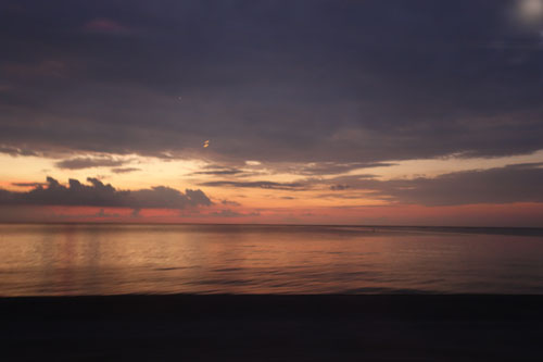 DSC05388