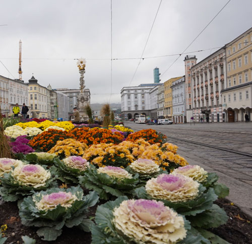 Foto 30.10.17, 12 15 43